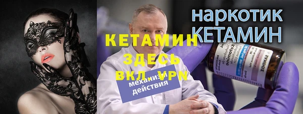 гидра Володарск